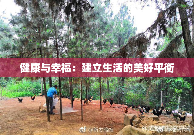 健康与幸福：建立生活的美好平衡