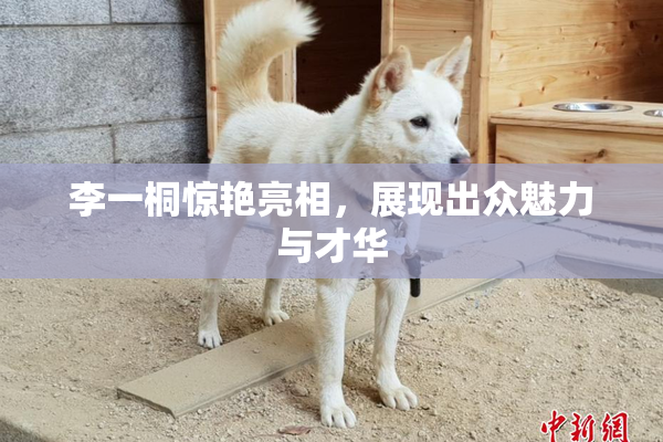 李一桐惊艳亮相，展现出众魅力与才华