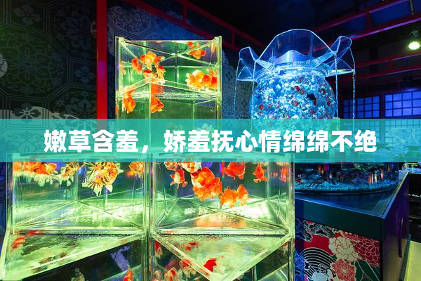 嫩草含羞，娇羞抚心情绵绵不绝