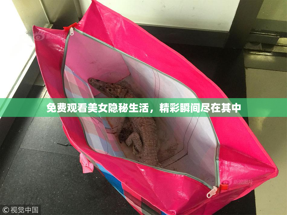 免费观看美女隐秘生活，精彩瞬间尽在其中