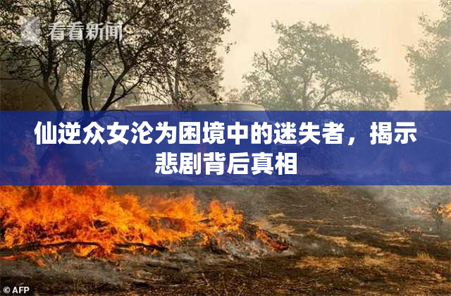 仙逆众女沦为困境中的迷失者，揭示悲剧背后真相