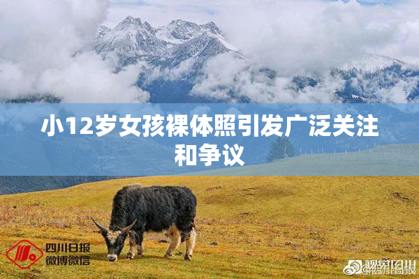 小12岁女孩裸体照引发广泛关注和争议