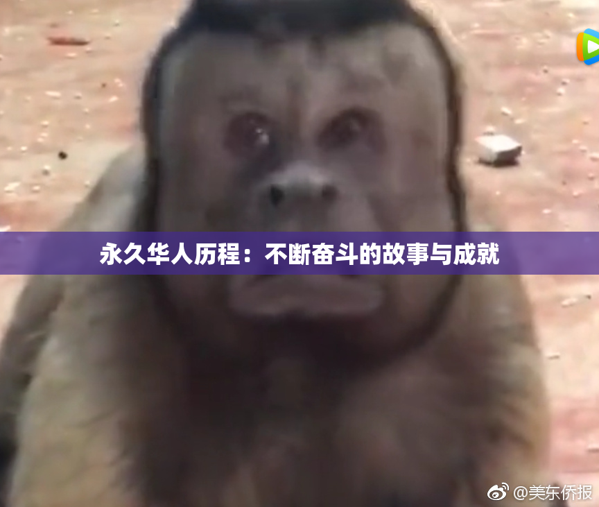 永久华人历程：不断奋斗的故事与成就