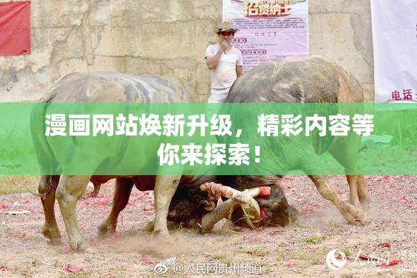 漫画网站焕新升级，精彩内容等你来探索！