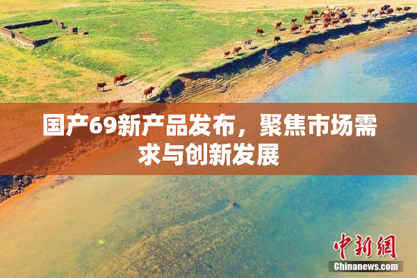 国产69新产品发布，聚焦市场需求与创新发展