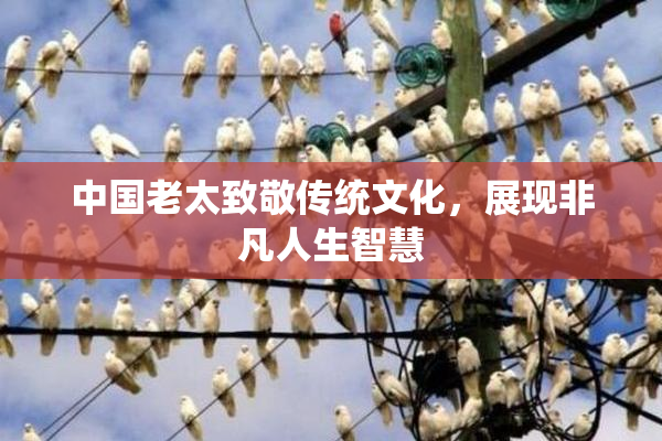 中国老太致敬传统文化，展现非凡人生智慧