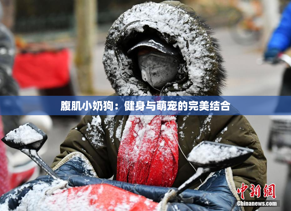 腹肌小奶狗：健身与萌宠的完美结合