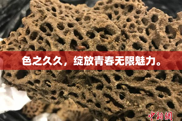 色之久久，绽放青春无限魅力。