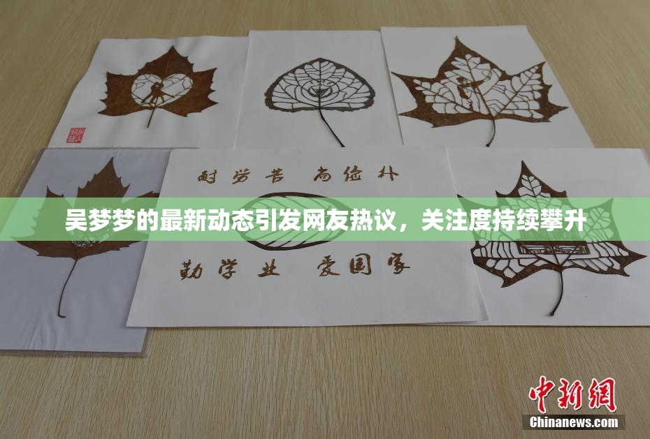 吴梦梦的最新动态引发网友热议，关注度持续攀升