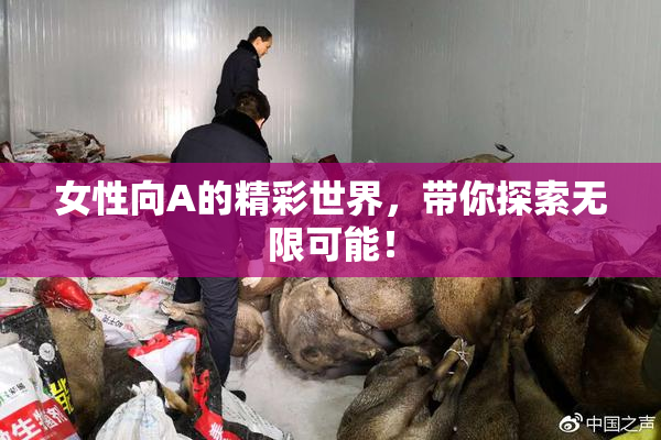 女性向A的精彩世界，带你探索无限可能！