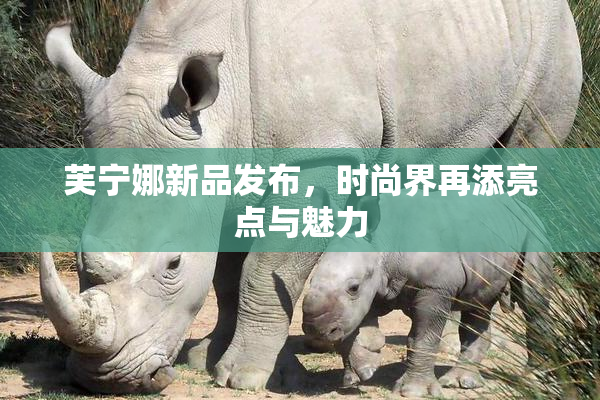 芙宁娜新品发布，时尚界再添亮点与魅力