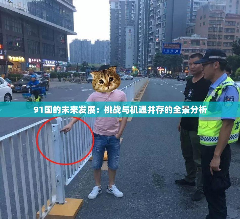 91国的未来发展：挑战与机遇并存的全景分析