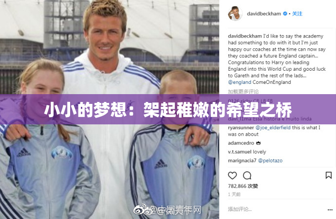 小小的梦想：架起稚嫩的希望之桥