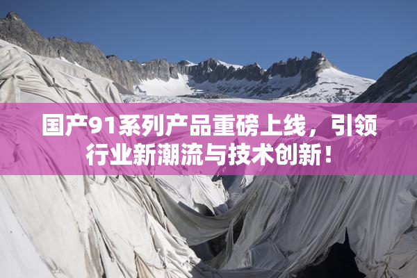 国产91系列产品重磅上线，引领行业新潮流与技术创新！