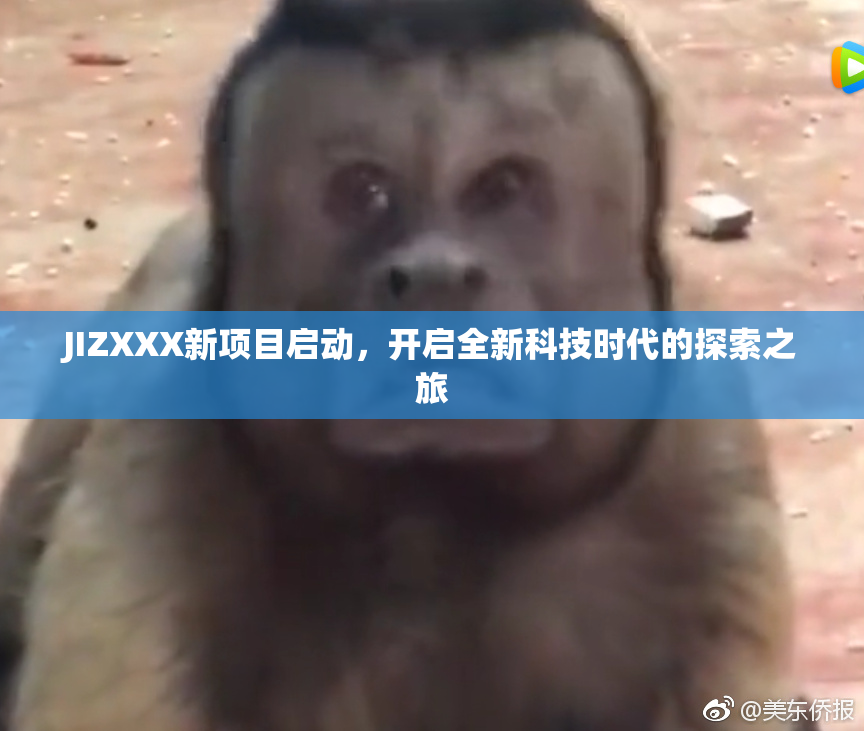 JIZXXX新项目启动，开启全新科技时代的探索之旅