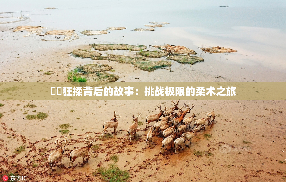 ❌‌狂揉背后的故事：挑战极限的柔术之旅
