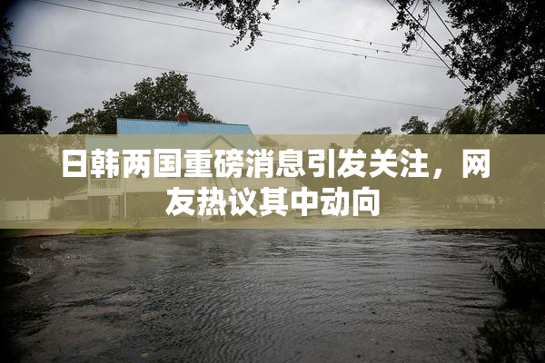 日韩两国重磅消息引发关注，网友热议其中动向