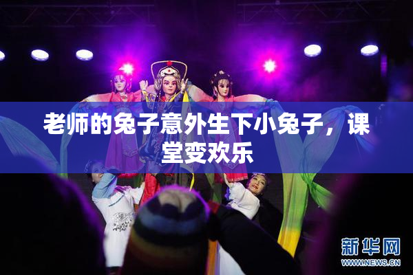 老师的兔子意外生下小兔子，课堂变欢乐