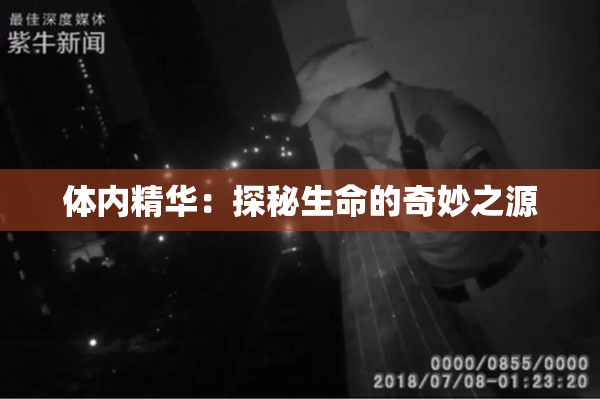 体内精华：探秘生命的奇妙之源