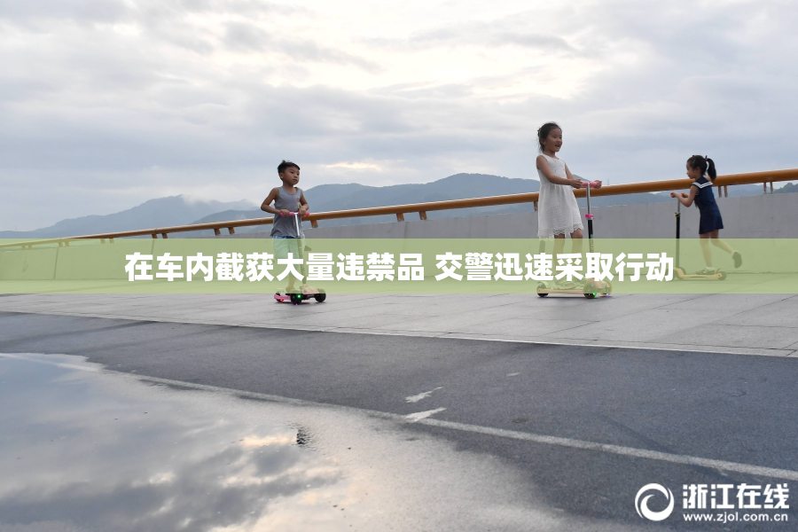在车内截获大量违禁品 交警迅速采取行动