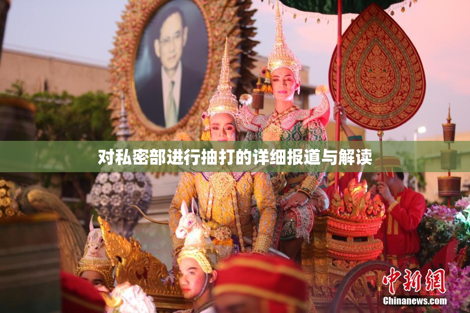对私密部进行抽打的详细报道与解读