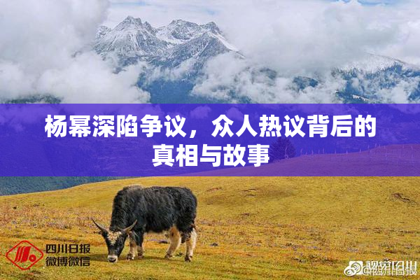 杨幂深陷争议，众人热议背后的真相与故事