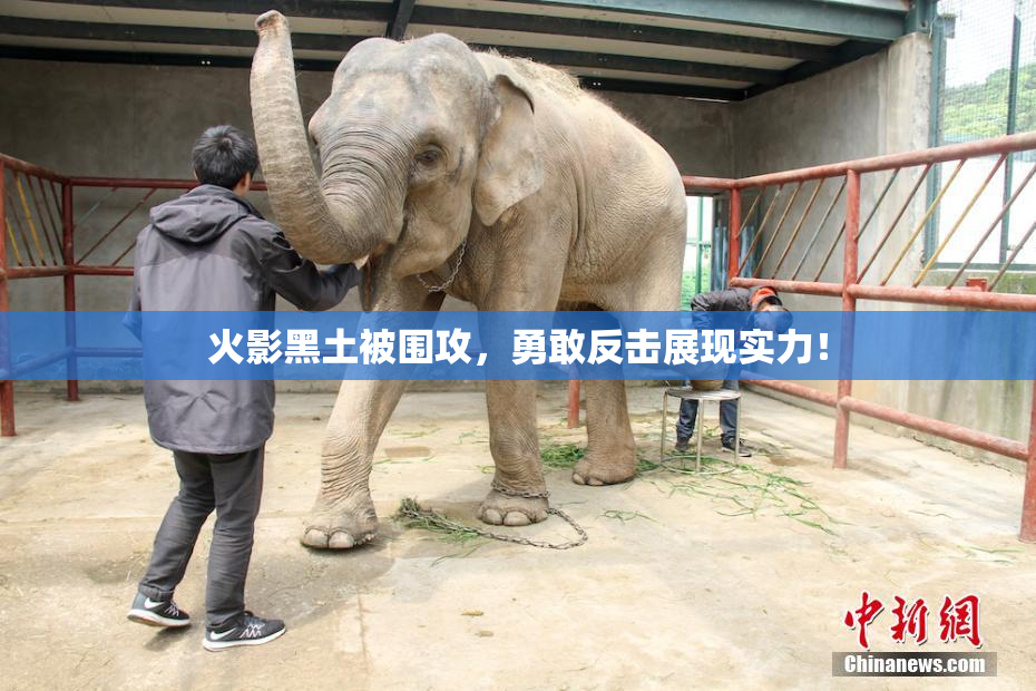 火影黑土被围攻，勇敢反击展现实力！