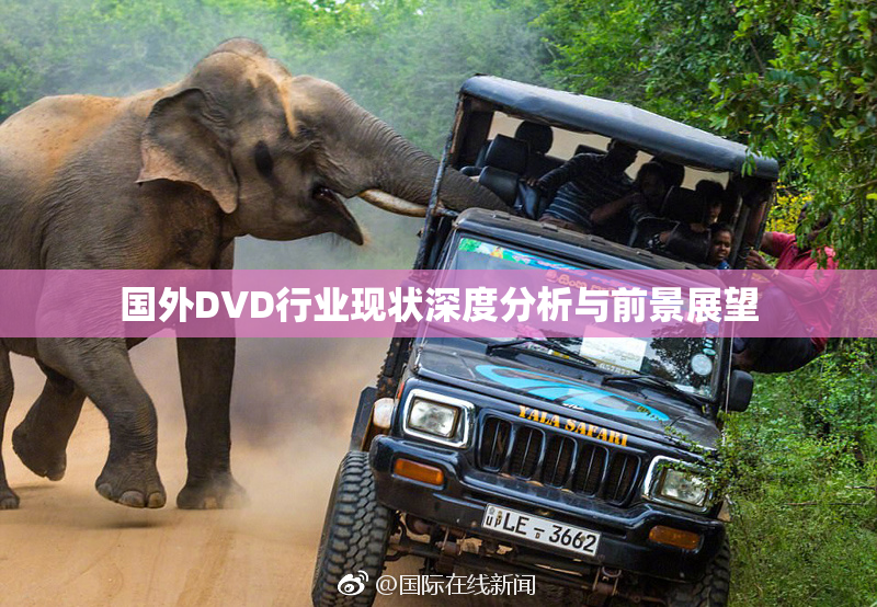 国外DVD行业现状深度分析与前景展望