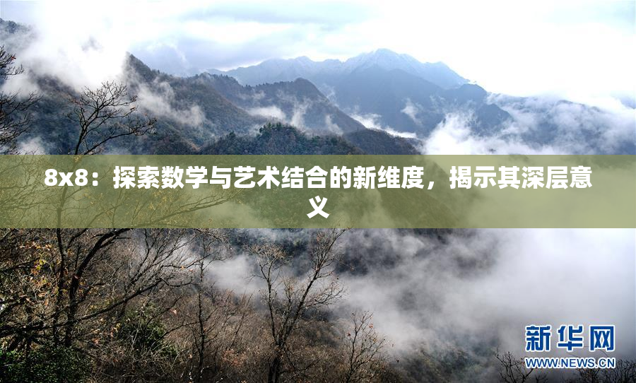 8x8：探索数学与艺术结合的新维度，揭示其深层意义