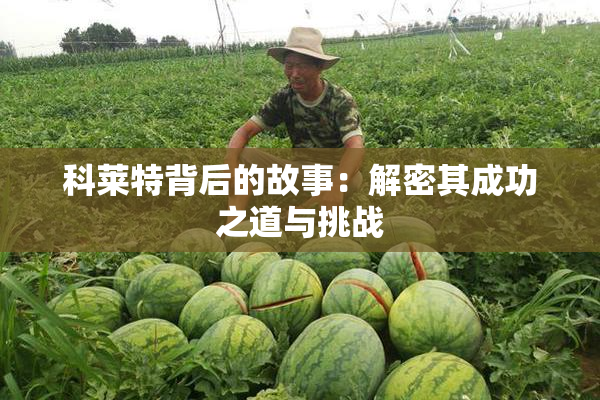 科莱特背后的故事：解密其成功之道与挑战