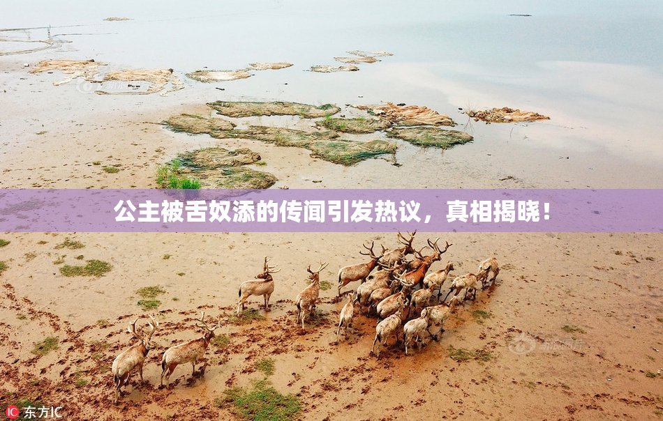 公主被舌奴添的传闻引发热议，真相揭晓！
