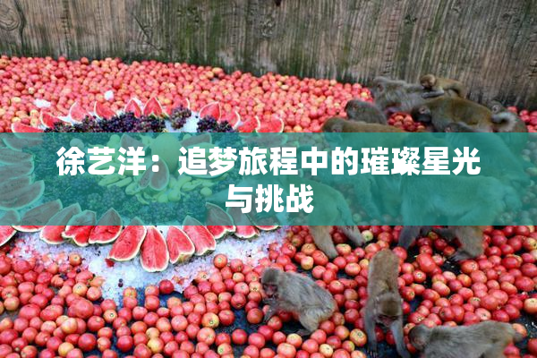 徐艺洋：追梦旅程中的璀璨星光与挑战