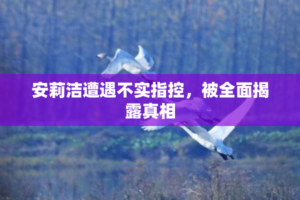 安莉洁遭遇不实指控，被全面揭露真相