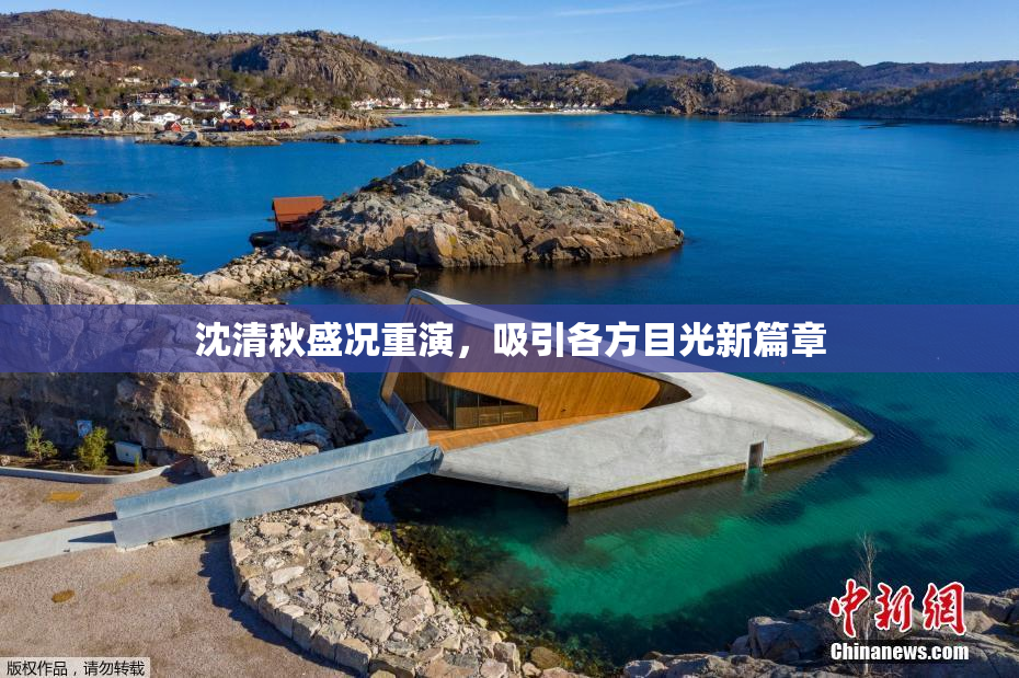 沈清秋盛况重演，吸引各方目光新篇章