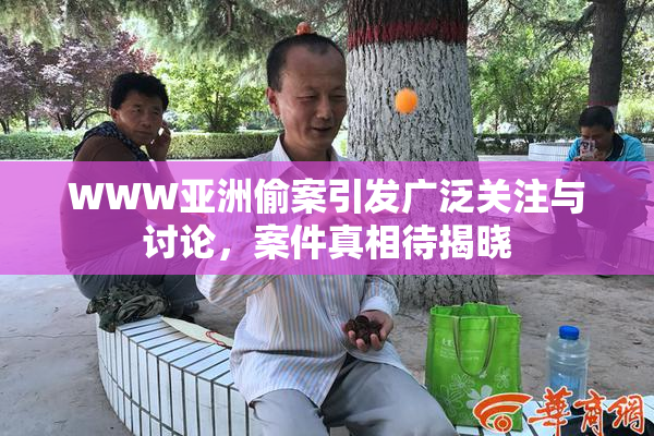 WWW亚洲偷案引发广泛关注与讨论，案件真相待揭晓