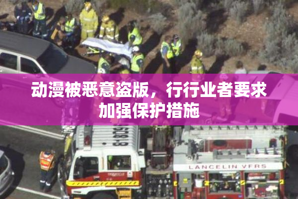 动漫被恶意盗版，行行业者要求加强保护措施