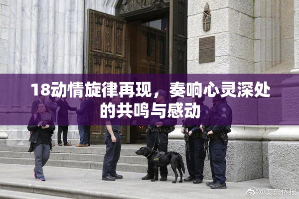 18动情旋律再现，奏响心灵深处的共鸣与感动