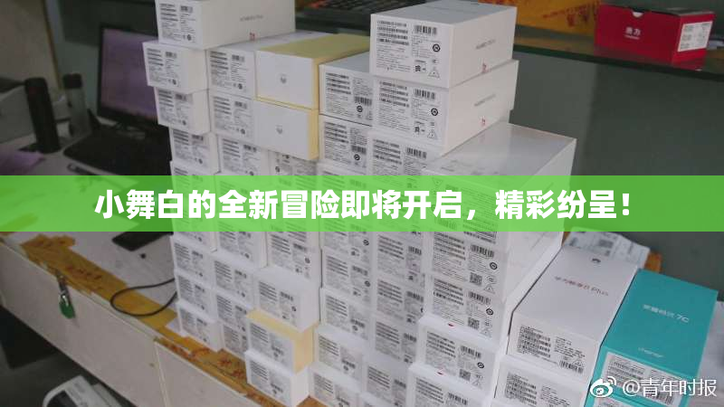 小舞白的全新冒险即将开启，精彩纷呈！