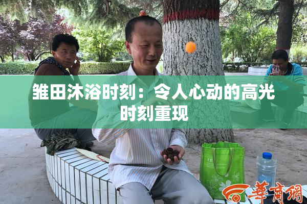 雏田沐浴时刻：令人心动的高光时刻重现
