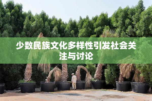 少数民族文化多样性引发社会关注与讨论