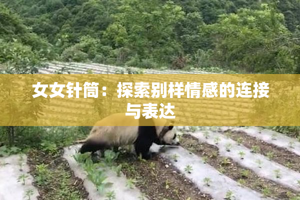 女女针筒：探索别样情感的连接与表达