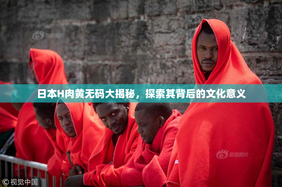 日本H肉黄无码大揭秘，探索其背后的文化意义