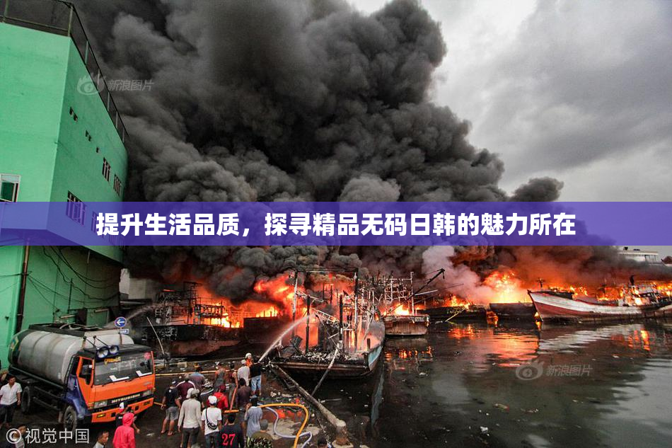 提升生活品质，探寻精品无码日韩的魅力所在