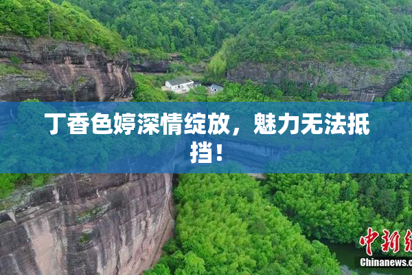 丁香色婷深情绽放，魅力无法抵挡！