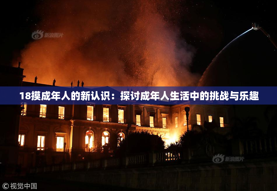 18摸成年人的新认识：探讨成年人生活中的挑战与乐趣