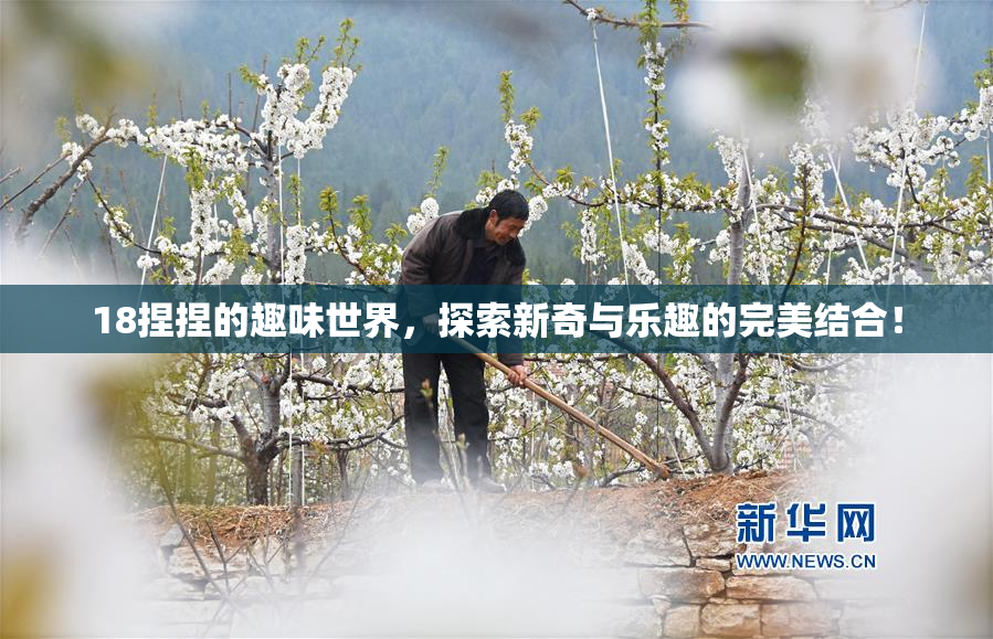 18捏捏的趣味世界，探索新奇与乐趣的完美结合！