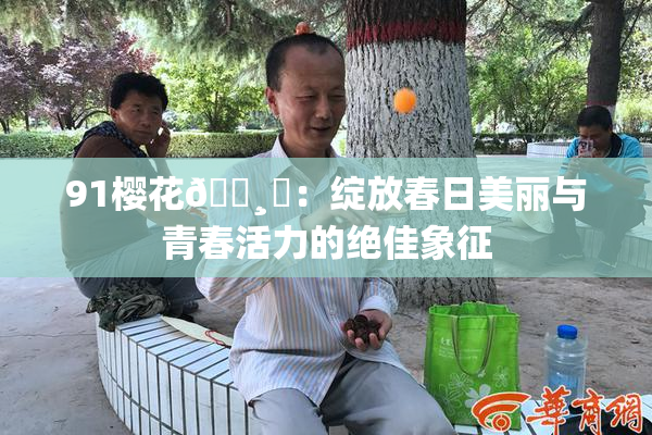 91樱花🌸‌：绽放春日美丽与青春活力的绝佳象征