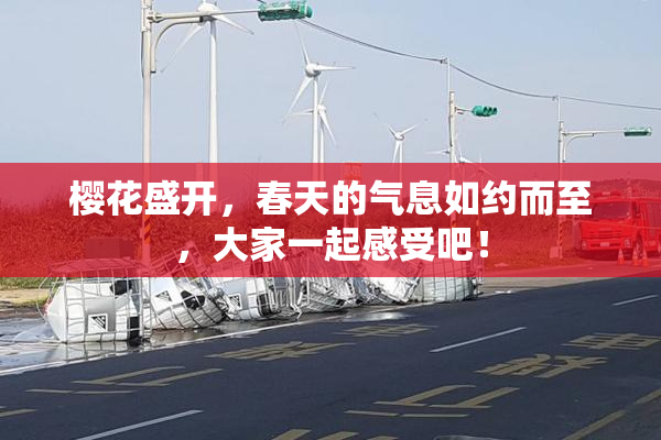 樱花盛开，春天的气息如约而至，大家一起感受吧！
