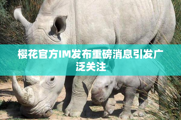 樱花官方IM发布重磅消息引发广泛关注