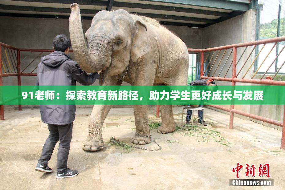 91老师：探索教育新路径，助力学生更好成长与发展